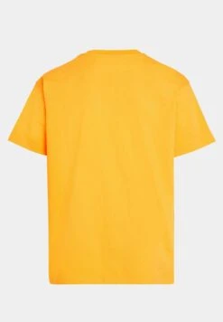 ESPRIT Yagi Archive Mit Grafik Print - Print T-Shirt -Esprit Sales Store 03a004e1e1b74136a230de98be4d8750