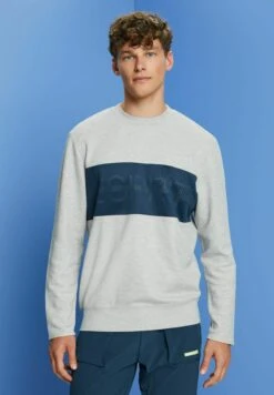 Sweatshirt - Light Grey New -Esprit Sales Store 0e663731281f46cb8d4c55b10075b9a5