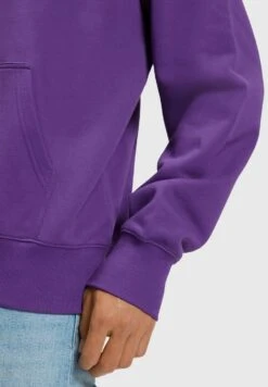 ESPRIT Color Dolphin - Hoodie - Berry Purple -Esprit Sales Store 23edb60130074c959a607b70345405de