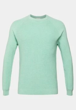 ESPRIT Sus Struc Cnk - Jumper - Pastel Green 13 ESPRIT Sus Struc Cnk - Jumper - Pastel Green -Esprit Sales Store 36ec5f71ff4d42d480864b8c28d511b0