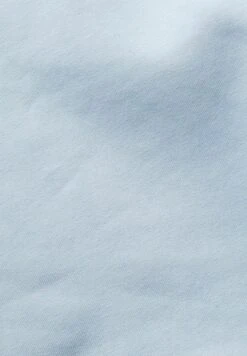 ESPRIT Mit-Logo - Sweatshirt - Pastel Blue 13 ESPRIT Mit-Logo - Sweatshirt - Pastel Blue -Esprit Sales Store 7835a9a744ee4a428c67fe122bb955d3