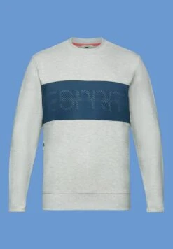 Sweatshirt - Light Grey New -Esprit Sales Store 7f9fcbfea4bb4b5fba380bc5098a4750