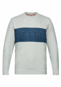 Sweatshirt - Light Grey New -Esprit Sales Store 9703f06acd714487a2ee9bd4e43a334b